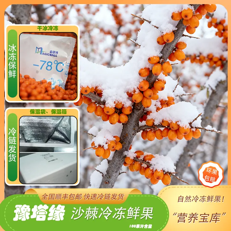 【顺丰冷链】新疆有机沙棘鲜果买4斤送1斤（到手5斤） 特产尝鲜