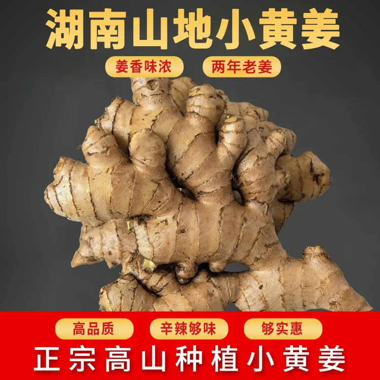 精选湖南本地小黄姜特级高山新鲜生姜老姜批发正宗老黄姜产地直销