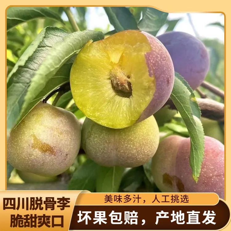 【小二娃专属】正宗四川脱骨李半边红茵红李4.5斤新鲜应季水果