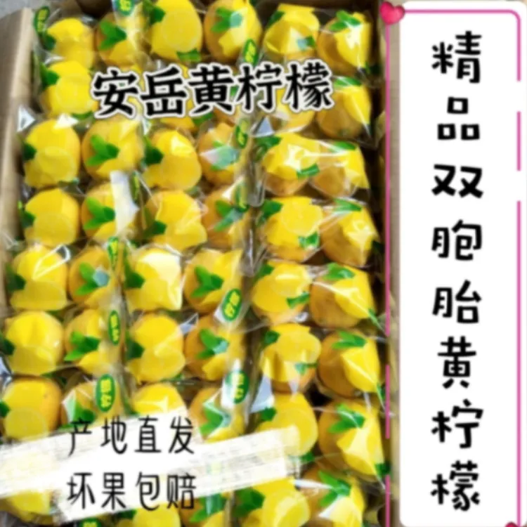 【2025年新果】安岳尤力克黄柠檬果香酸爽多汁颗粒饱满双胞胎