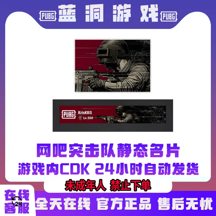 PUBG绝地求生官方网吧突击队静态名片CDK激活码兑换码