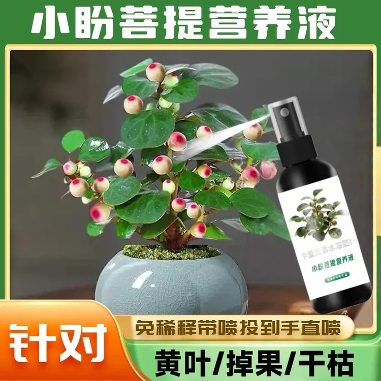 小盼菩提树营养液四季植物肥防黄叶枯萎促开花结果家用室内复合肥
