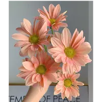  【云舍花卉】【三文鱼】小菊 全场任意满两单及以上鲜花包邮发货