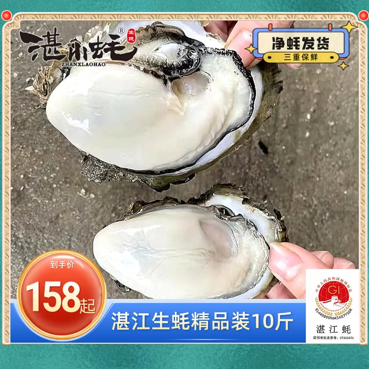 湛骐湛江生蚝湛小蚝精品装10斤