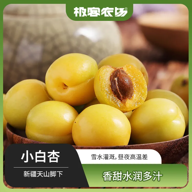 新疆轮台正宗小白杏3斤装 皮薄汁多 肉厚核小 鲜果现摘现发 顺丰