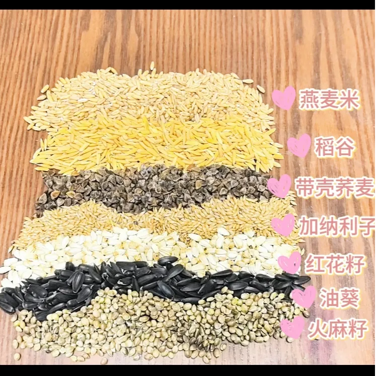 小太阳/和尚/金太阳 鹦鹉混合种子粮
