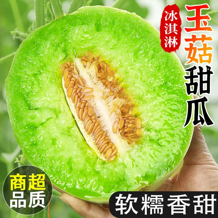 正宗海南冰淇凌玉菇甜瓜香甜多汁当季新鲜水果头茬蜜瓜香瓜现摘
