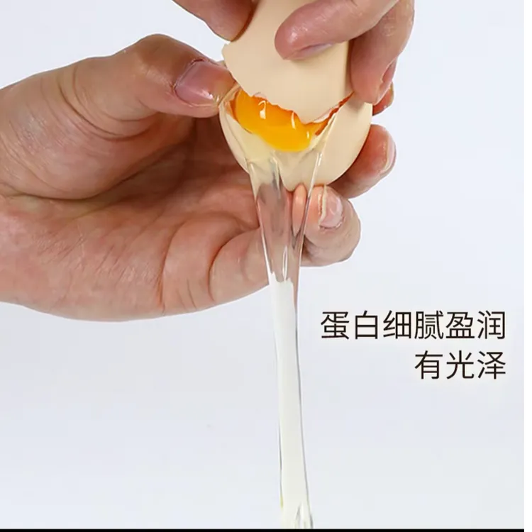 初生草鸡蛋「天燕家庭农场」嫌小勿拍，35-40g/枚