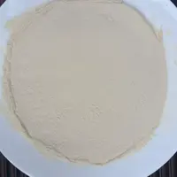 冻干油柑果  冻干工艺纯果汁制作