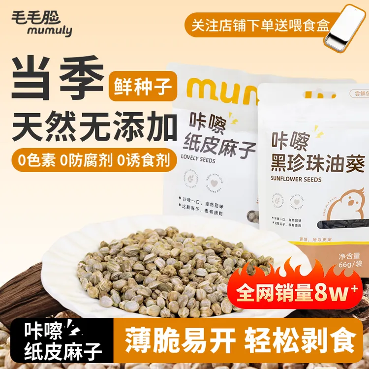 增肥大颗粒薄皮纸壳麻子油葵玄凤牡丹小太阳训练鹦鹉零食鹦鹉食粮商品图