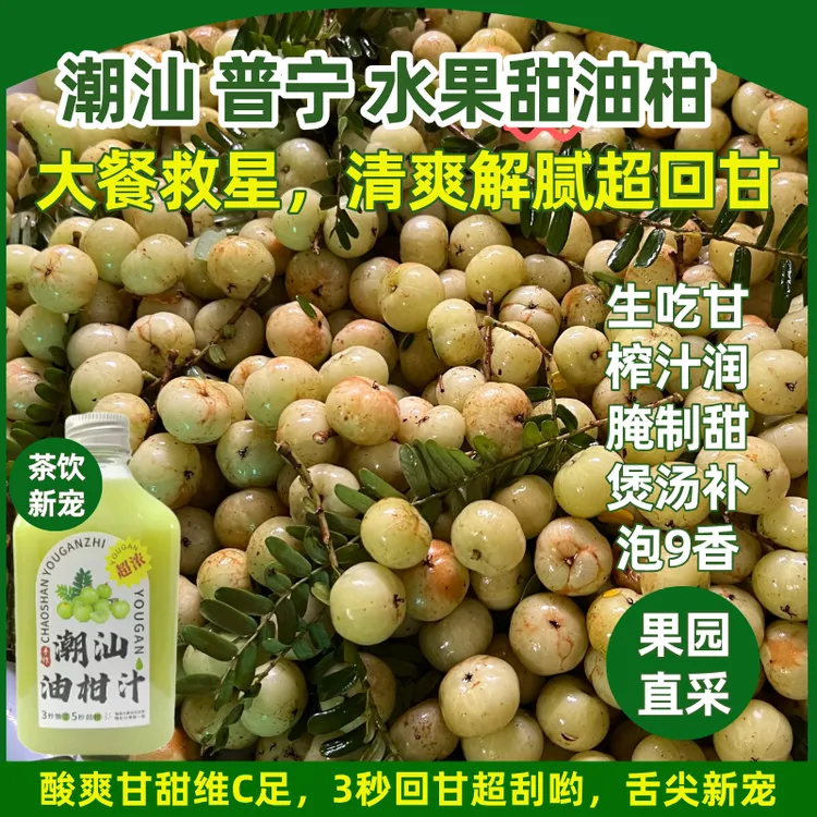 【买一送一】潮汕普宁崩坎甜种油柑 普宁特产 油柑果余甘子新鲜水果