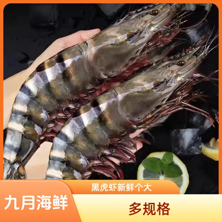 【多规格】黑虎虾老虎虾斑节对虾无冰净重3斤1盒新鲜个大冷链发货