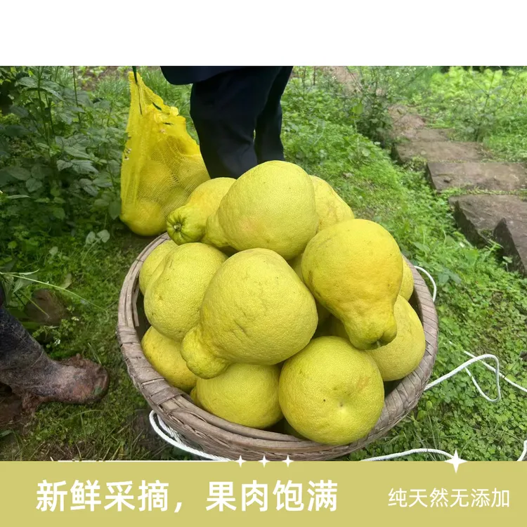 四川合江真龙柚纯甜无酸柚子产地直销飞沙田柚孕妇柚子真龙柚