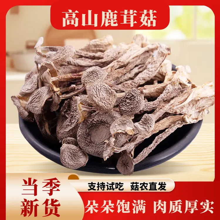 【高山鹿茸菇】菇农直发500g自然晾晒干货炒菜煲汤脆嫩 脱水蔬菜
