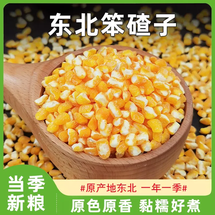 煮饭专用玉米粒当季新货玉米糁陕北特产杂粮山地农家自种自然晒干