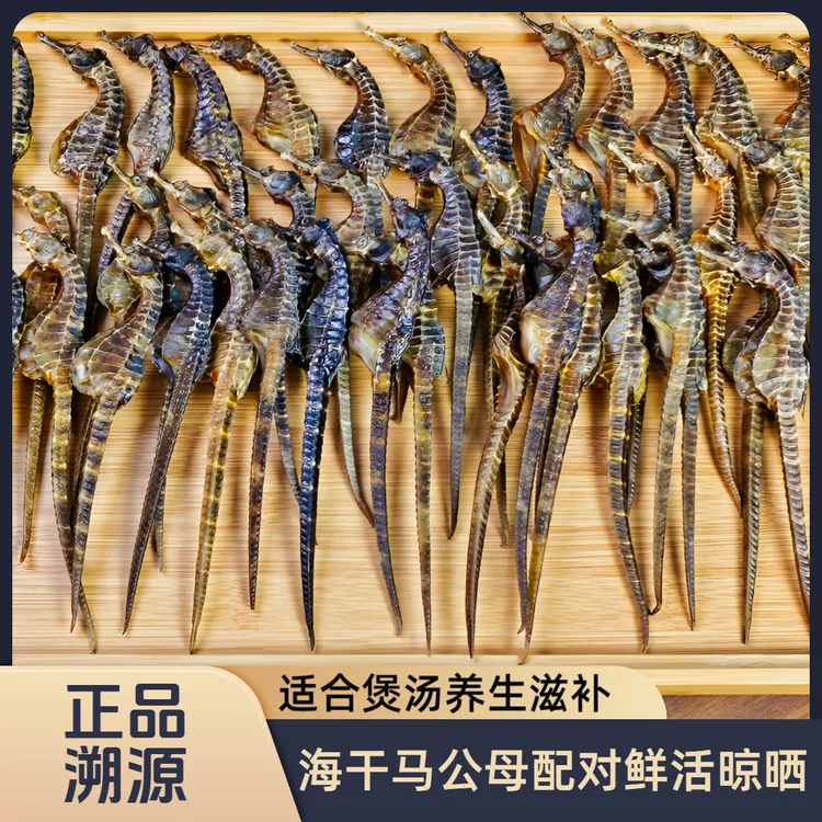 公母搭配足干海干货马馬适合煲汤泡酒做汤料海马正品海马泡酒专用