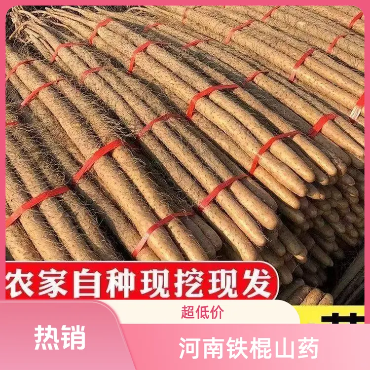 河南正宗铁棍山药淮山药淮山】新鲜现挖现发农家种植粉糯香甜