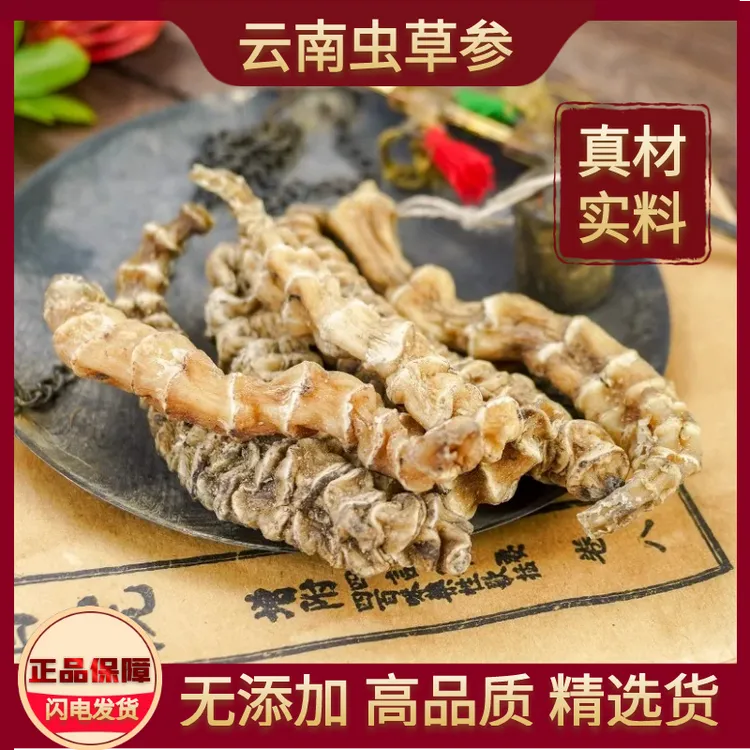云南虫草参地参干货精选大条泡酒地蚕草石蚕地笋中药材滋补养生