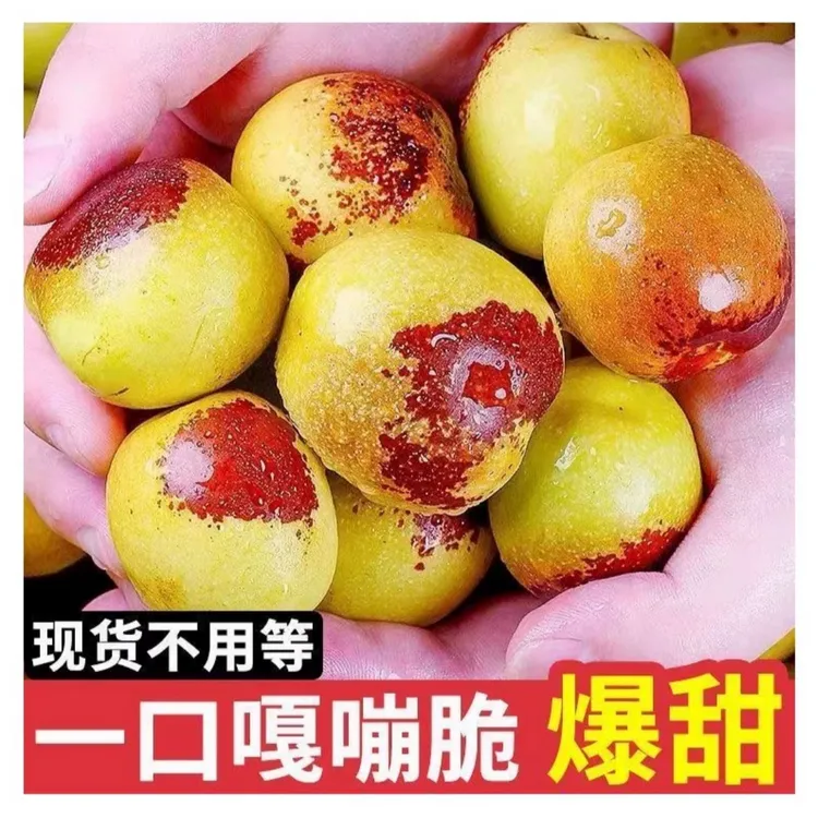沂蒙山冬枣枣子新鲜当季水果山东脆枣鲜枣甜枣大青枣整箱包邮