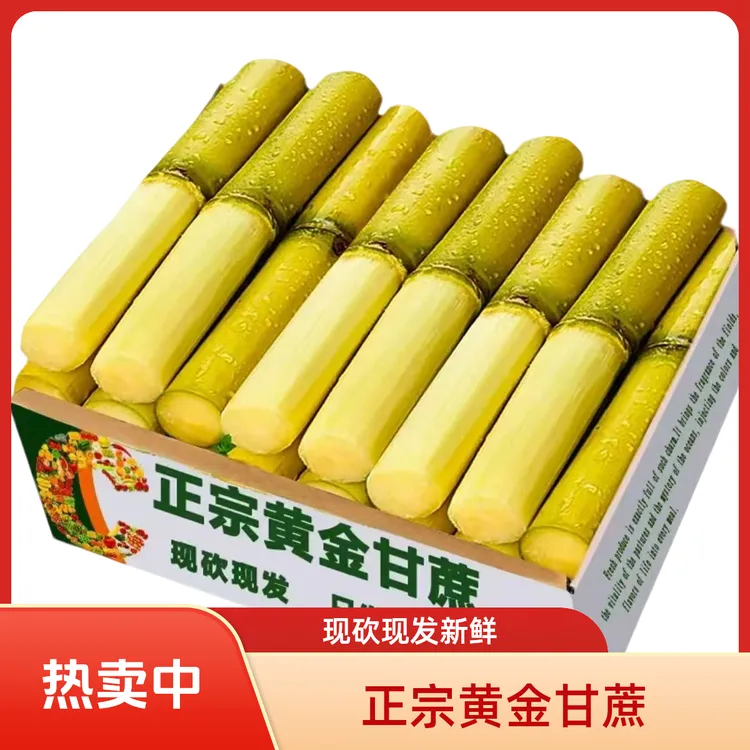 云南新鲜甘蔗应季水果脆甜多汁现砍现发