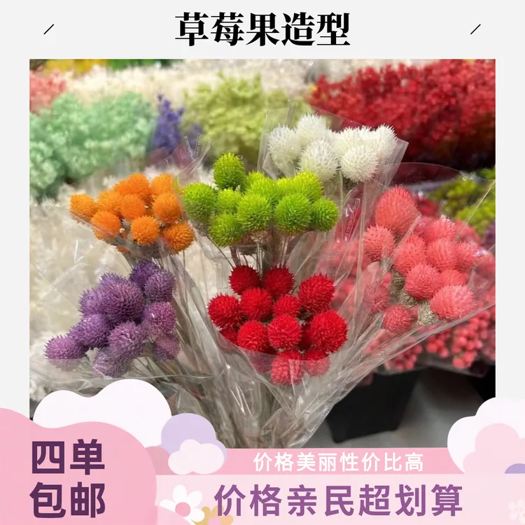 千日红永生花干花 DIY瓶插ins风装饰 四单包邮