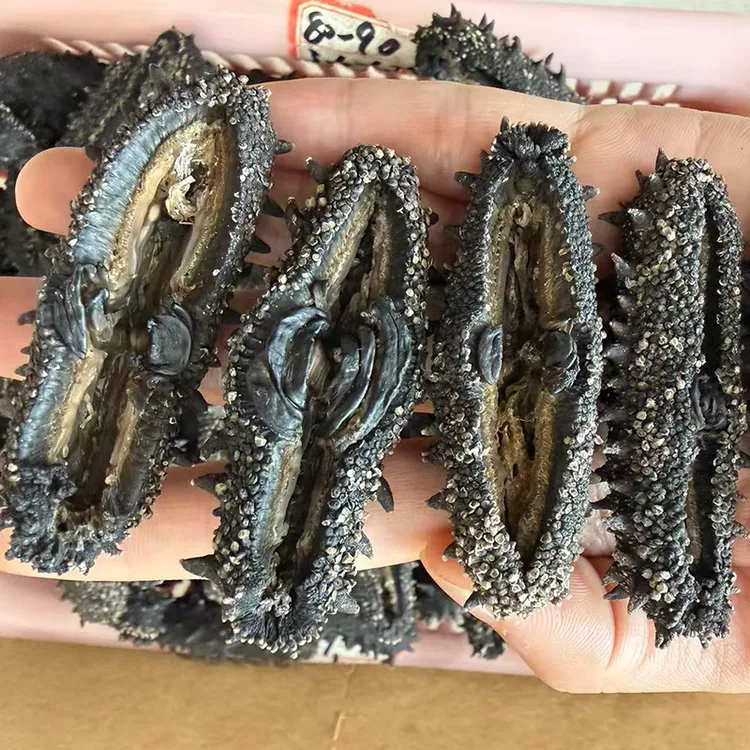 【大连海区货】大连深海淡干海参泡发15倍