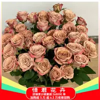 【卡布】玫瑰花鲜切花新鲜玫瑰云南鲜花基地直发两单送配草