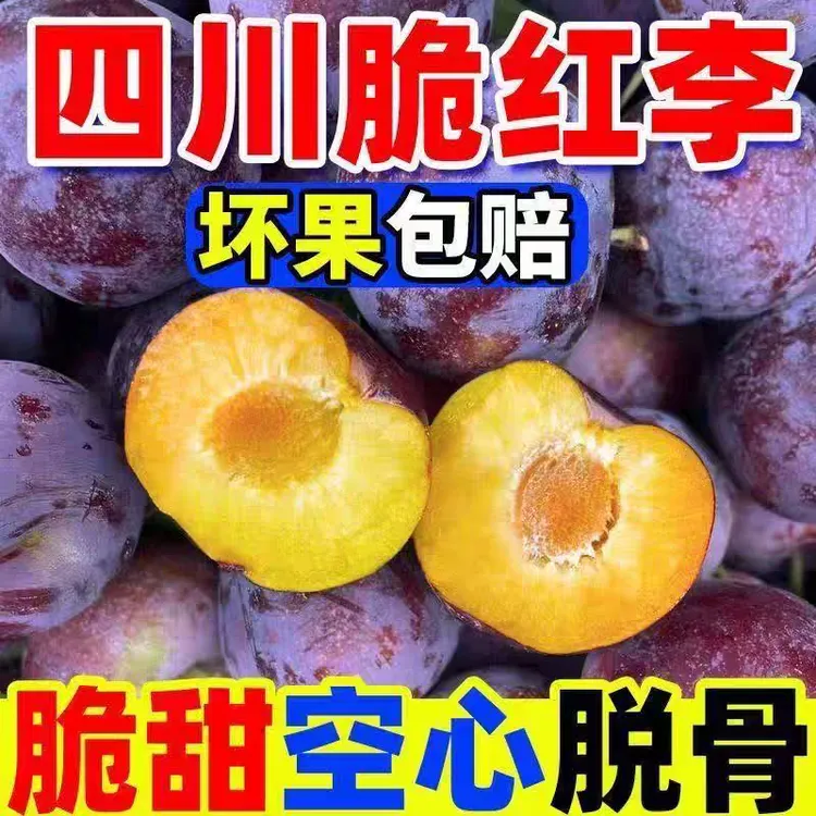 四川脆红李脱骨新鲜现摘脆甜多汁爽口
