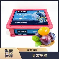 【蓝孔雀空运西梅】新鲜 整筐带筐4.8斤左右 太原晋中吕梁忻州拍