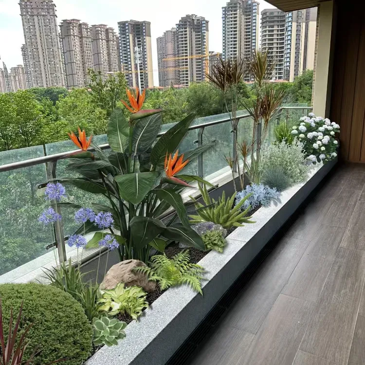 【代金券100元】满1000-100元 园林阳台花园植物批发