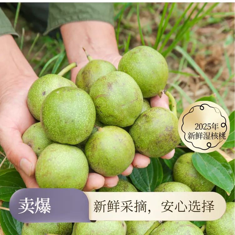 2025年新鲜核桃当季湿核桃适合孕妇宝宝的零食带青皮去青皮都有