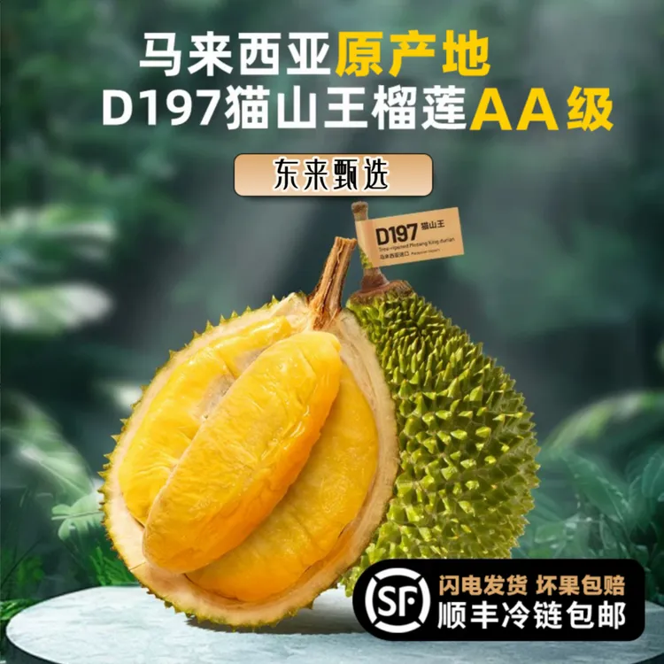 精选猫山王榴莲【顺丰包5房】AA级（少一房赔一房）高山树熟当季新果