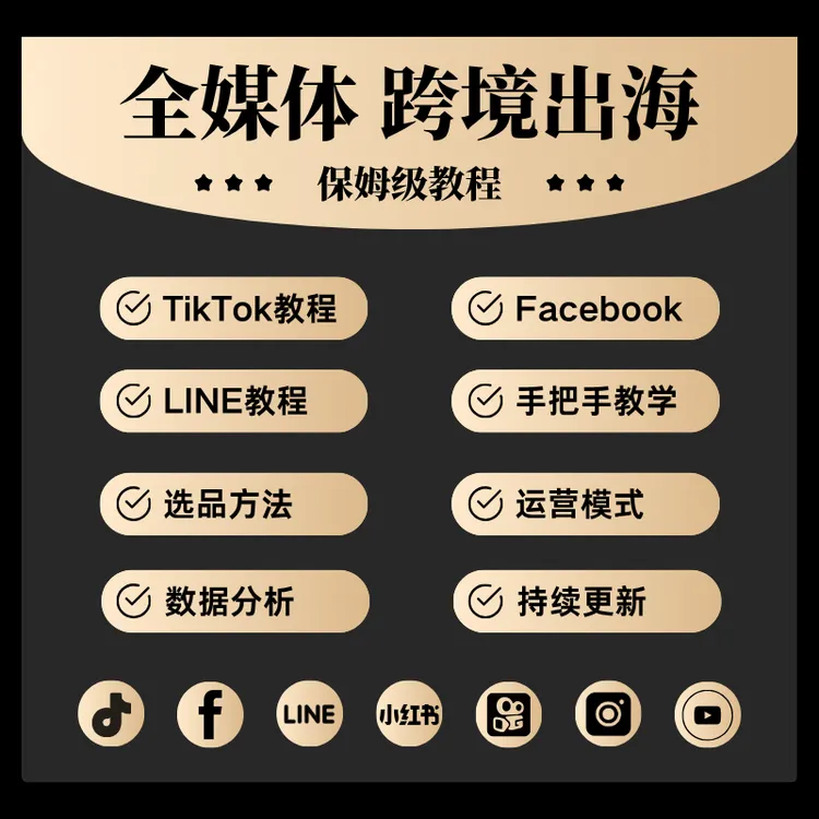跨境电商出海咨询服务老陶电商tiktok跨境电商入门完整教程