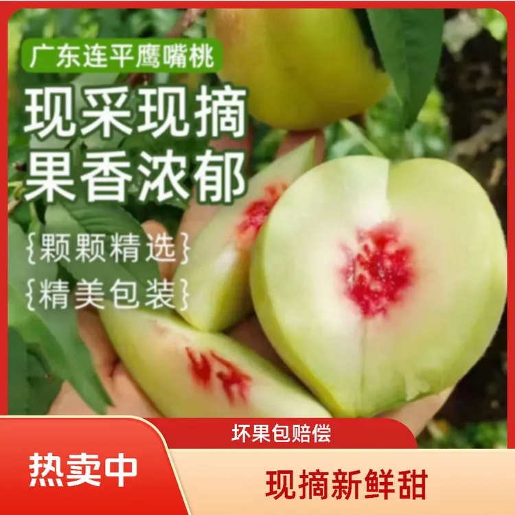 【正宗连平鹰嘴桃】新鲜现摘水果应季水果口感爽脆桃子水蜜桃脆甜
