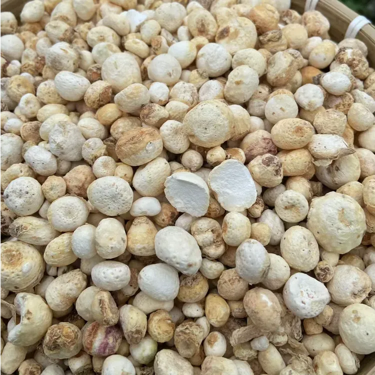 天然旱半夏去皮干半夏生的麻芋子三叶半夏农产品非种植原生态