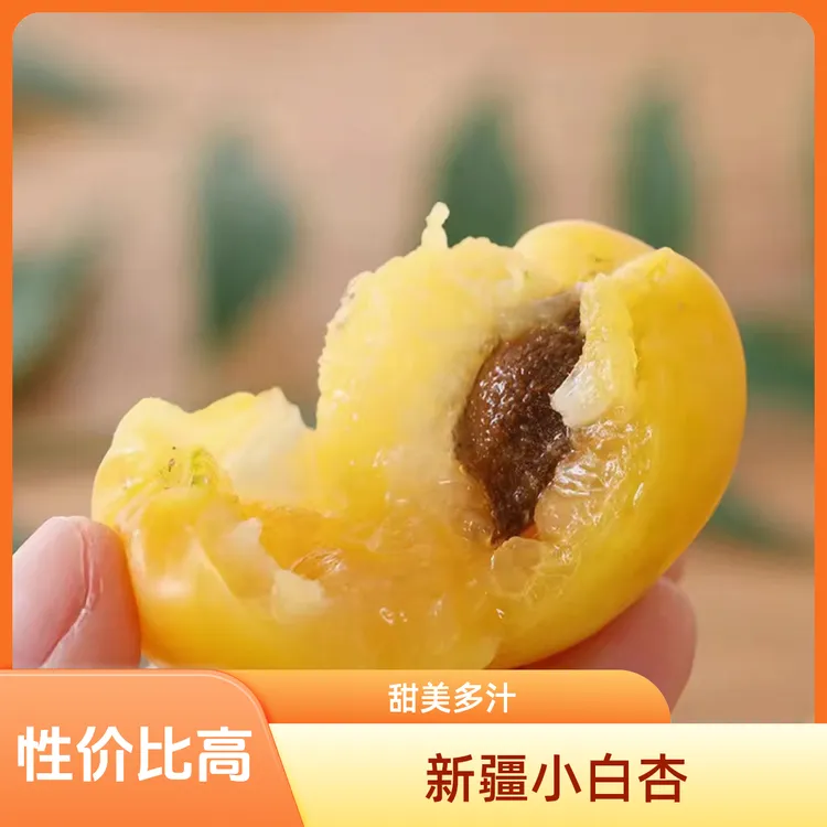新疆特产吐鲁番小白杏高性价比现摘皮薄多汁高甜度香甜产地直发