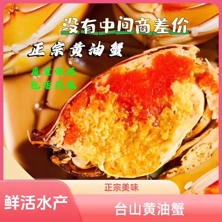 没有中间商差价黄油蟹正宗台山南沙黄油蟹膏蟹青蟹鲜活海鲜水产