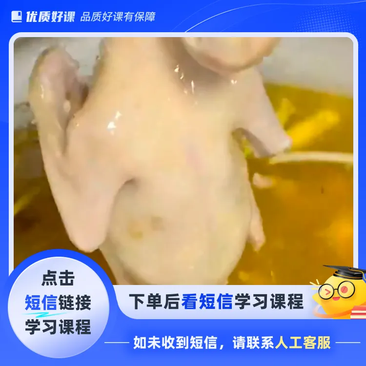 老卤盐焗乳鸽（点击短信链接学习课程）