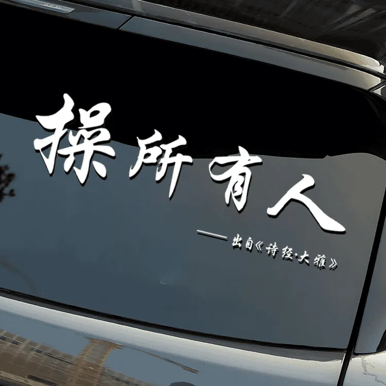抖音网红车贴2025新款人有所操汽车贴纸操所有人个性内涵搞笑创意