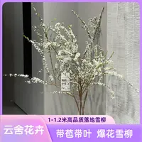 【云舍花卉】鲜枝【雪柳】1-1.2米带花苞带叶 全场满2单及以上包邮