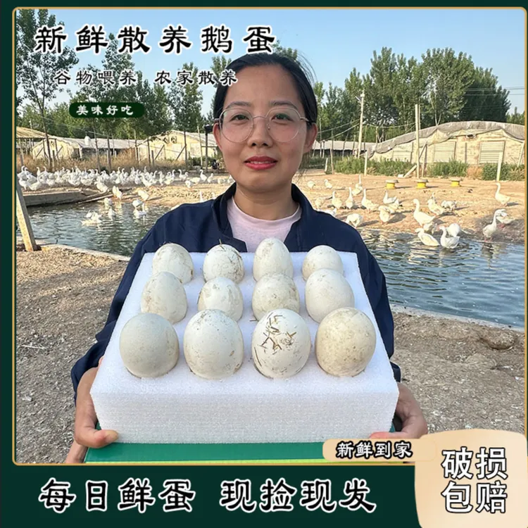 【鲁菏隆亿】12枚鹅蛋保真礼盒装新鲜现捡现发新鲜破碎包赔孕妇农村