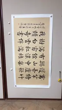 【闪购商品】书法精品老师绘画