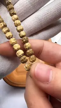 【闪购商品】星月菩提手串星月菩提 手串