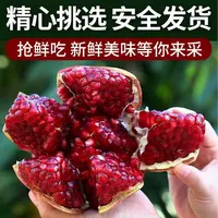 云南楚雄新鲜突尼斯软籽石榴包邮
