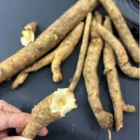 精选新鲜党参煲汤炖汤佳品整根新鲜