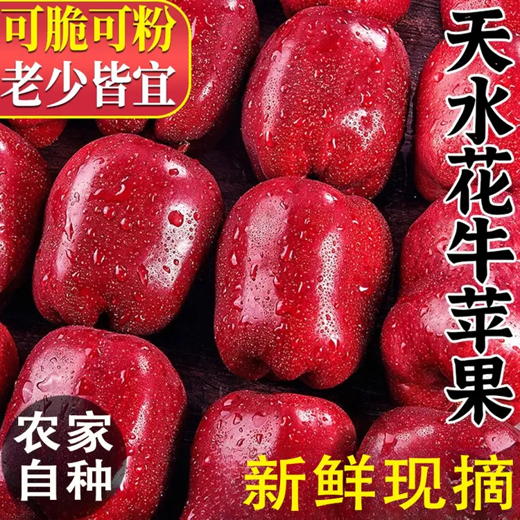 【顺丰包邮】甘肃天水花牛苹果婴儿辅食老人粉面脆甜苹果现摘现发
