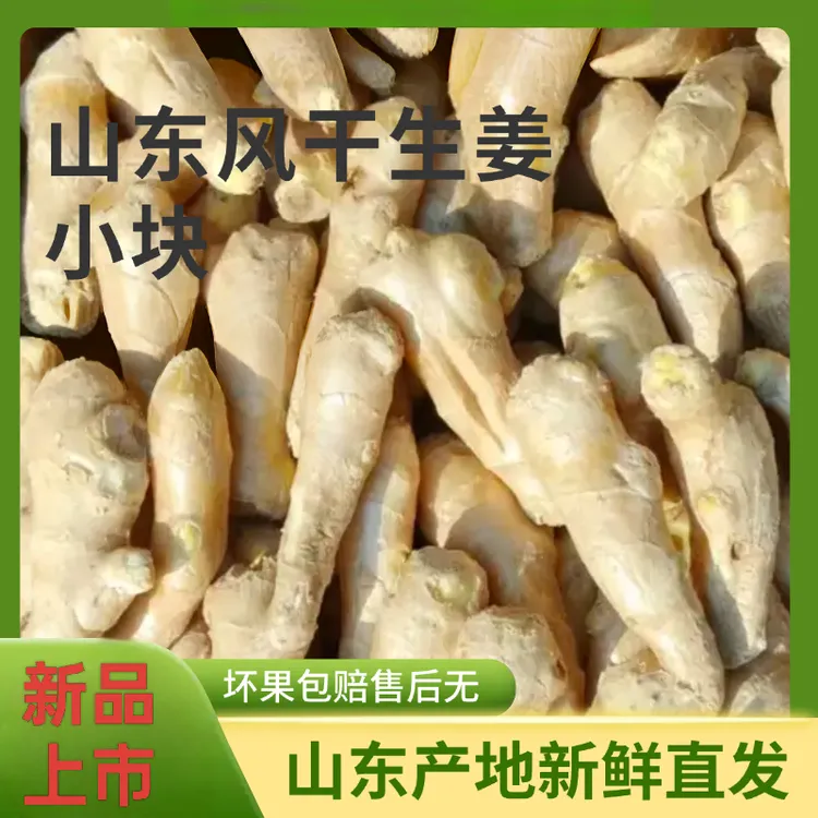 山东新鲜水洗风干小块老姜黄姜姜香浓郁月子可用
