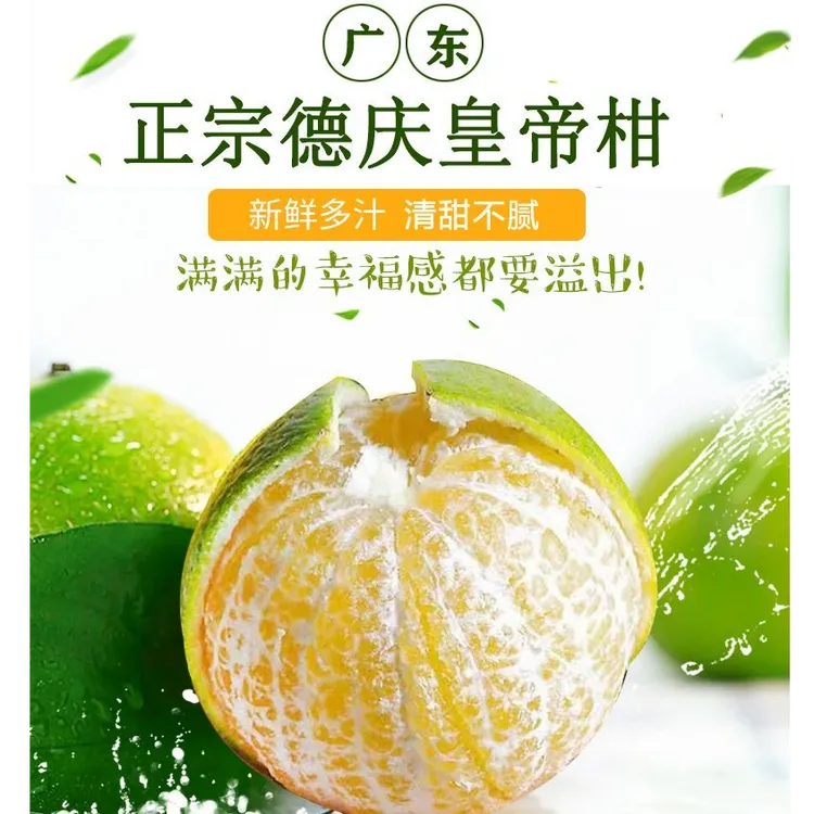 （尝鲜款）德庆皇帝柑现摘现发