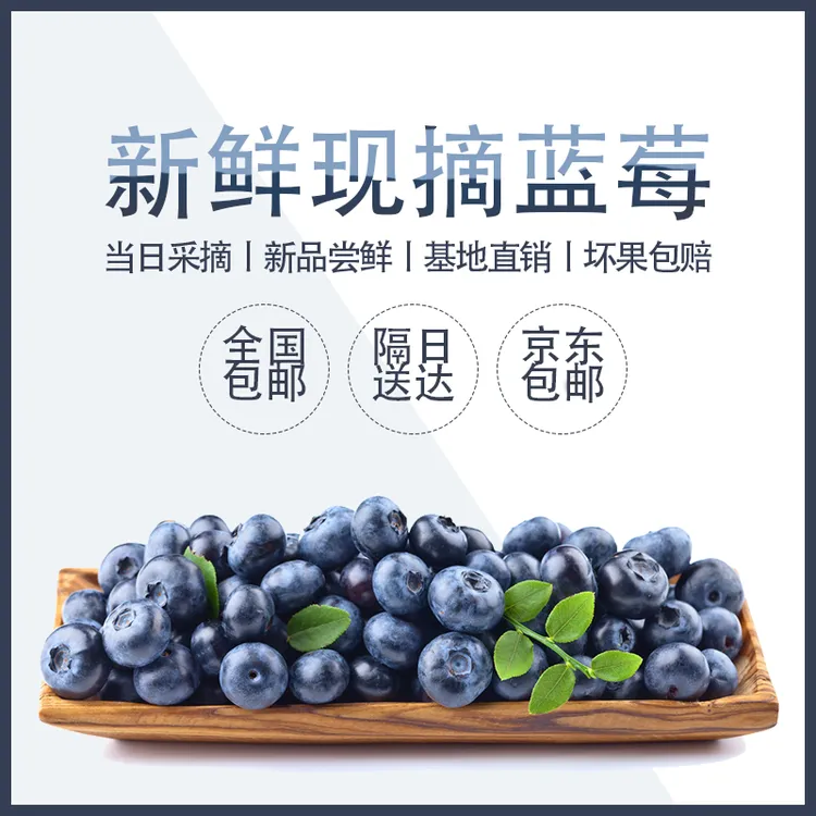 山东蓝莓 现摘 自家果园 新鲜水果 1斤果 （4盒 净重125克/盒）