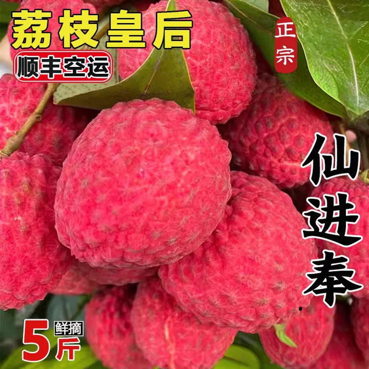 【顺丰空运/冷链】正宗老树仙进奉荔枝当季时令新鲜水果爆甜多汁